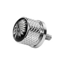 할리 데이비슨 용 스테인레스 시트 볼트 나사, 6 크롬