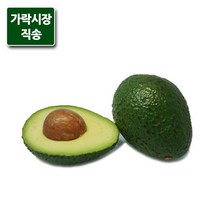 가락시장 직송 아보카도 1개, 단품