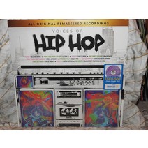 LP판 미국 HIP HOP LP 10 클래식 히트곡의 목소리 월마트 퍼플 마블 레코드판 Dr Dre Boyz