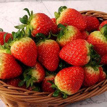 전남생협 GAP 인증 산지직송 논산 설향 딸기 800g, 1