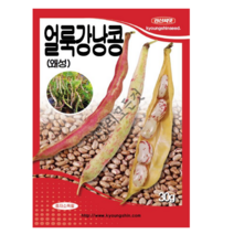 얼룩 강낭콩 씨앗 (왜성) 30g 알록이강낭콩 종자 경신종묘