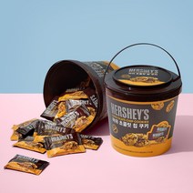 미성패밀리 허쉬 초콜릿칩 쿠키 456g / 대형통, 1개