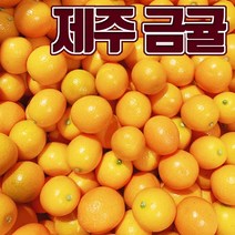 핵달달 새콤달콤 껍질째 한입에 즐기는 상큼한 금귤(낑깡), 3kg
