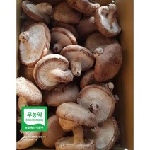 무농약인증 GAP인증 예산표고버섯 못난이 (무료배송) 생표고버섯 가정용으로 추천 다시용 가루용 대량용 육수용 김정용 식당용 건조용 농장직송, 못난이 10kg, 1개