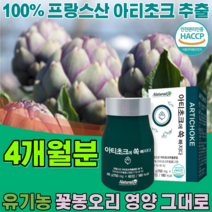 100% 프랑스산 유기농 인증 프리미엄 아티 초크 추출 분말 꽃봉오리 영양 그대로 중금속 불검출 없는 우기농 아디 쵸코 쵸크 아치 초코 토토 코코 토트 코크 정 타입 파는곳 추천, 2