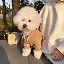 강아지옷 가을 겨울 강아지 후드티 고양이 의류 반려동물 용품, 카키, L