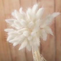 토끼 꼬리 말린 꽃 솜털 팜파스 잔디 소박한 웨딩 장식 홈 30 개, 04 white_02 100pcs