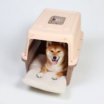 조브라운 강아지 고양이 케이지 켄넬 이동장 쿠션 방석 매트, 아쿠아, 에메랄드