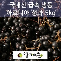 국내산 100% 냉동 아로니아 생과 대용량 5kg 10kg 해피스토어70