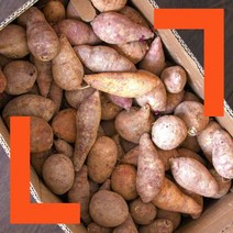 파머스넷 한입 햇 고구마, 한입고구마 10kg, 1박스