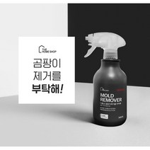 실크벽지곰팡이제거 실리콘 곰팡이제거 540ml, 곰팡이방지를 부탁해, 1개