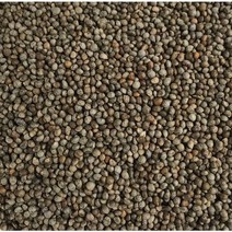 중국산 들깨 1kg 추가200g증정 특A/2022년 햇들깨 길림들깨 수입산 들깨, 1kg+(200g)