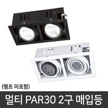 PAR30 멀티등기구 2구 매입등 다운라이트, 단품, 색상:화이트
