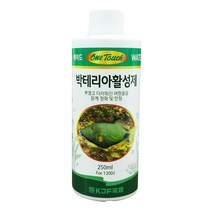 원터치 박테리아 활성제 대용량 수질개선제 250ml, 없음, 상세설명 참조