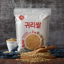 미이랑안토시안쌀  추천 순위 모음 50