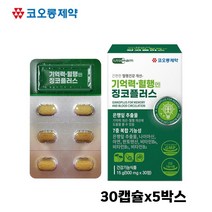징코 빌로바 은행잎 추출물 두뇌 기억력 혈행 영양제 중년 남성 여성 직장인 수험생 뇌건강 효능 추천 Ginko Biloba, 5개, 30정
