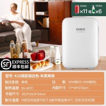 차량용 냉장고 미니 소형 휴대용 캠핑용 차박 쿨러 캠핑 전기 아이스박스 케민 케민 자동차 작은 집 냉장 학생 기숙사 싱글 렌탈, 10L 고급형(차량 겸용) 화이트