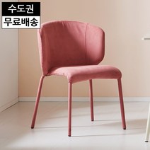 론델 가죽 의자 식탁 체어 chair 카페 까페 수입 고급 가구 등받이 있는 모던(핑크), 민트