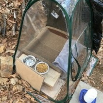 길고양이집 야외숨숨집 비닐텐트 방풍 비바람 장마 겨울 하우스