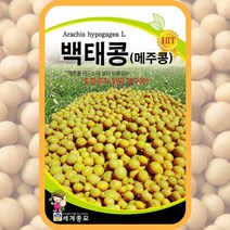 백태콩 씨앗 메주콩 종자 30g 콩재배 텃밭가꾸기 채소심기, 단품