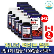 캐나다 액티브 철분 약국 아기 성장기 어린이 아이 임신초기 산후 철분제 복용법 영양제 철분제제 푸마르산제일철 캡슐 식약처 인증, 5박스