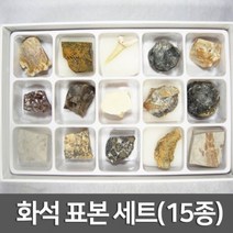 화석 표본 세트(15종)R