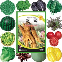 대포장 고들빼기씨앗 부추종자 더덕재배 해바라기씨앗 대파종자 곤드레씨 호박 강낭콩, 111 산마늘 1000립