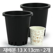 플라스틱 녹차 재배분 16 X 16cm - 화분 플분 양란 난화분 란화분 난재배분 양란화분 난재배 녹차재배분 긴화분, 01_청운_재배분(4호) X 2개