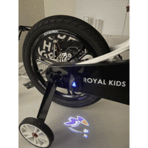 DND마켓 차량용 자전거 퀵보드 움직이는 도어빔 라이트 안전등 (주)존 글로벌, 자동차용, 옵션02 레드티라노