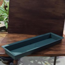 플라스틱 꽃꽂이 직사각 긴수반 50x15cm 홈가드닝 봄