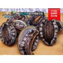 (당일발송 친환경포장)완도전복생산자협동조합 대전복 1kg(10~11미), 구이/탕용 1kg(28-30미)