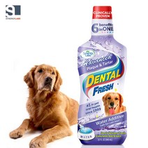 강아지 입냄새 프라그제거 물에섞는 치약 503ml 애견샵 동물병원 구강관리