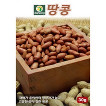 (씨앗) 땅콩 - 재배용 땅콩 씨앗 종자 - 소포장 텃밭용 - 30g