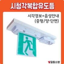 시청각 복합유도등 음성경보기 (시각경보 음성안내) / 중형/단면 양면, 단면