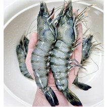 블랙 타이거 새우 킹 타이거 새우 캠핑 새우 왕새우 1kg(16마리), 블랙타이거 새우 대 1kg(16마리)