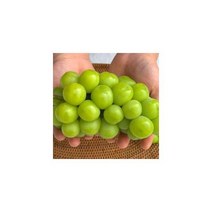 김천 샤인머스켓 청포도 1kg 선물 세트 보자기포함