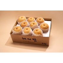 해피팜 나주배 2022년 갓 수확한 나주배 가정용 선물세트 5kg 7.5kg, 1개, 8~9과 5kg가정용