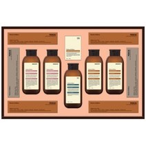 23년 설 선물세트 엘지생활건강 프리미엄 모던에디션 에센셜, 2개