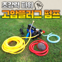 이동형 고압 양수기 펌프 12V48V60V220 볼트 고전압 농업용 전기 분무기 농약 제초제 살충제 방제 방역 살포기, 48V 플런저 펌프 10m 고압 튜브