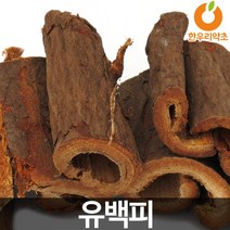 느릅나무껍질 1kg 느릅나무뿌리 효능 먹는법, 느릅나무환900g(300g3개)