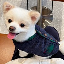 강아지할매조끼 강아지 할머니조끼 방한복 털옷 개타고니아 옷 후리스 체크, 그린XL
