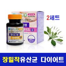 포스트 바이오틱스 장 유산균 단기 다이어트 RGG 밀착유산균 누에고치 실크 피브로인 가루 분말 스틱 락토바실러스 가세리 람노서스 가르시니아 캄보지아 체지방 뱃살 체중 감소, harammall, 두세트