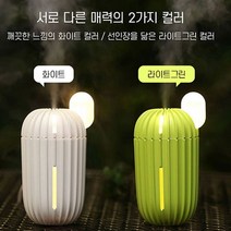 LED 무드등 미니 선인장 가습기 USB 미니가습기, 라이트그린