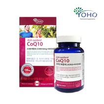캐나다 코엔자임 큐텐 q10 코엠 자임 혈압 항산화제 코앤자임 코엔자임 큐10 혈압감소 도움을 줌