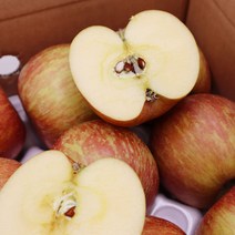 경북 영천 청송 꿀사과 부사 못난이 흠집 주스용, 경북 꿀사과 3kg(정품/중대과/11~12과)