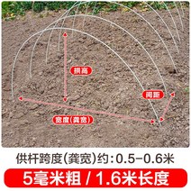 새로운 작은 아치 브래킷 야채 창고 기둥 분야 단열 FRP 단단한 유리 섬유 농업 묘목, 30개, 두께 5mm - 길이 1.6m
