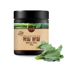 국산 케일 파우더 분말 가루 100g, 1개