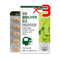 광동생활건강 광동 혈행&기억력 징코 450MG X 60정 X3 I 은행잎추출물 은행잎추출영양제 플라보노이드