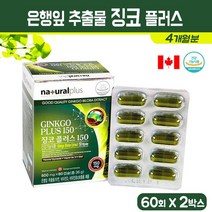 은행잎 추출물 징코 플러스 혈행개선 징코빌로바 플라보놀 배당체 비타민D 비타민B 아연 수험생 청소년 중장년 영양제 건강 기능식품, 2통, 60정