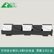 마카롱 안스리움 와로쿠아넘 몬스테라알보 다육이 저면관수 화분 새로운 다육 베르무 다육 25, 플라스틱, 버뮤다 분지 검정 트레이 5 검정 5 흰색 분지, 중간